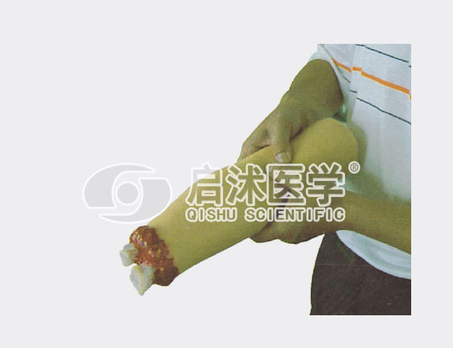 止血演练手臂模型