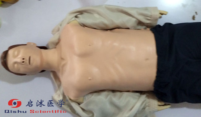 启沭医学模型保存保养