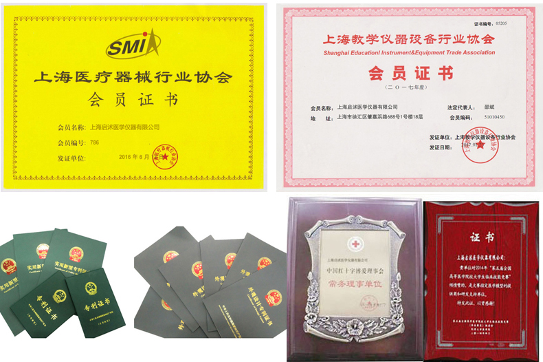启沭医学资质荣誉