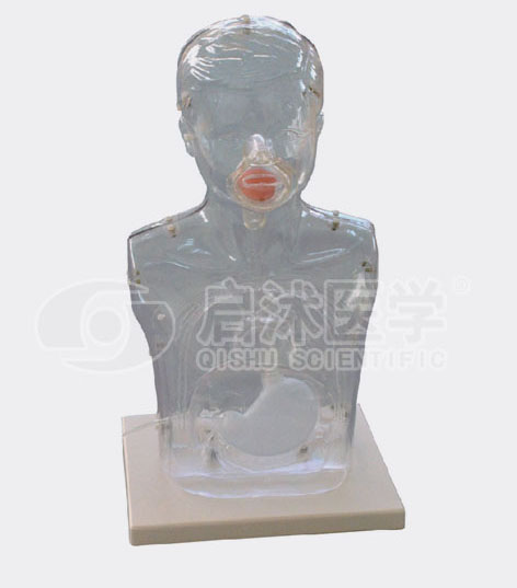 小儿透明洗胃模型