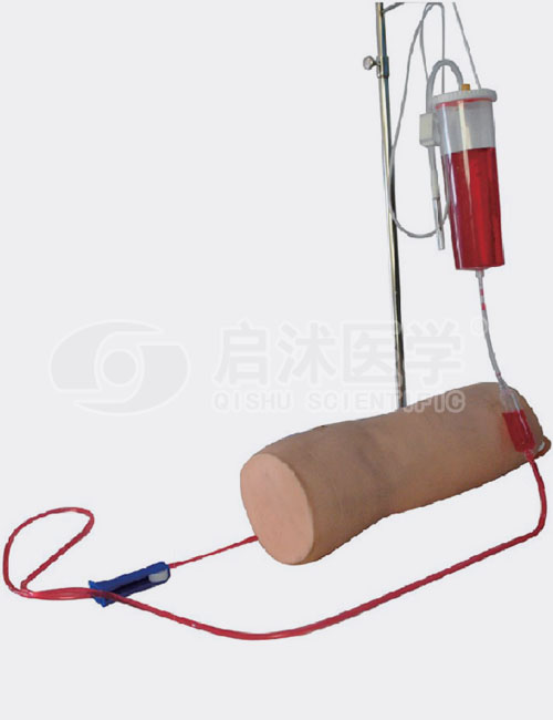 高级肘部静脉穿刺训练模型