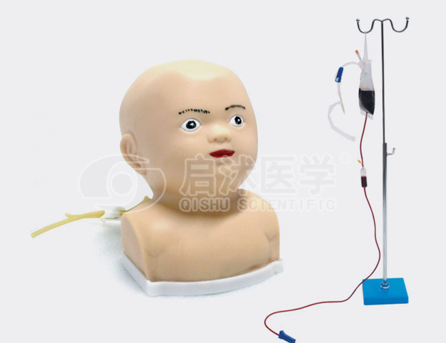 高级婴儿头部综合静脉穿刺模型
