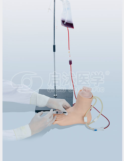 下肢足部静脉注射仿真模型