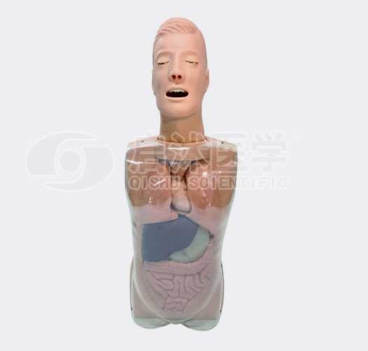 鼻泪管理液训练模型