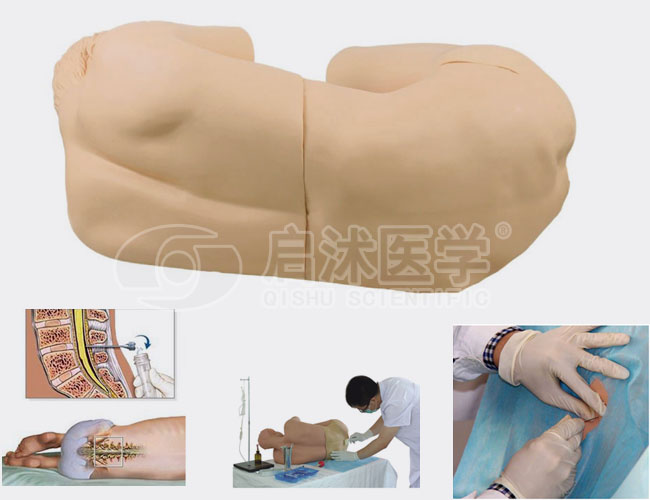 腰椎穿刺仿真标准化病人