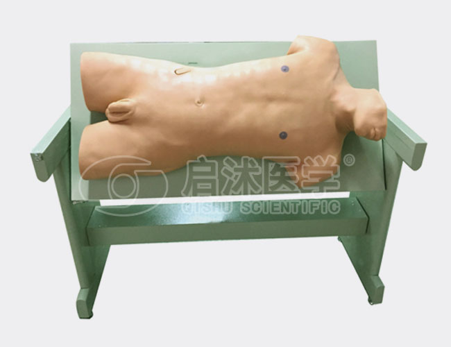 肝脓肿穿刺与胸腔穿刺训练模型（重患者半卧位）