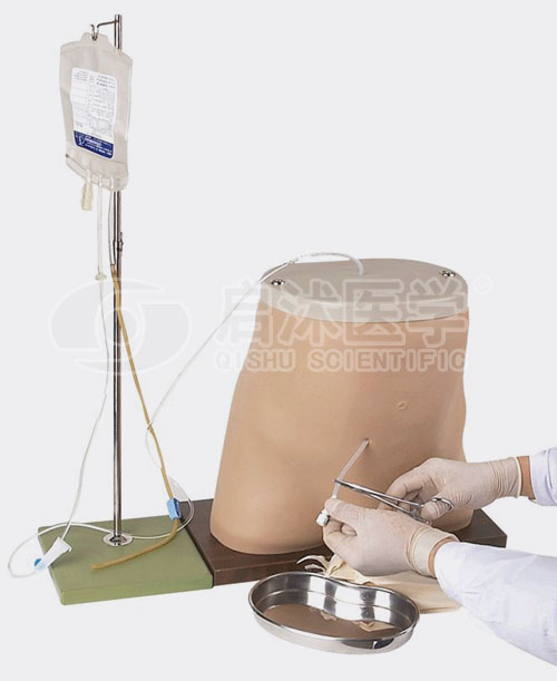 腹膜透析模型