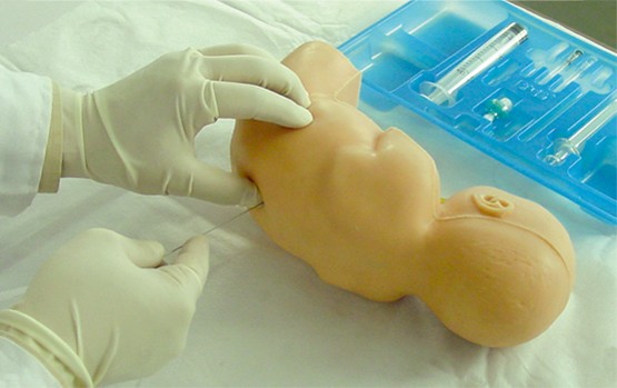 婴儿腰椎穿刺训练模型