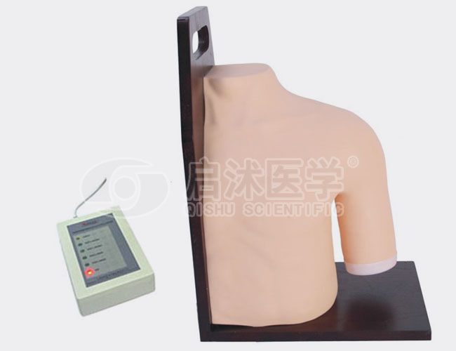 高级电子肩关节腔内注射模型