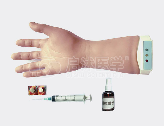 腕关节穿刺模型