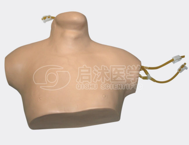 中心静脉穿刺插管模型