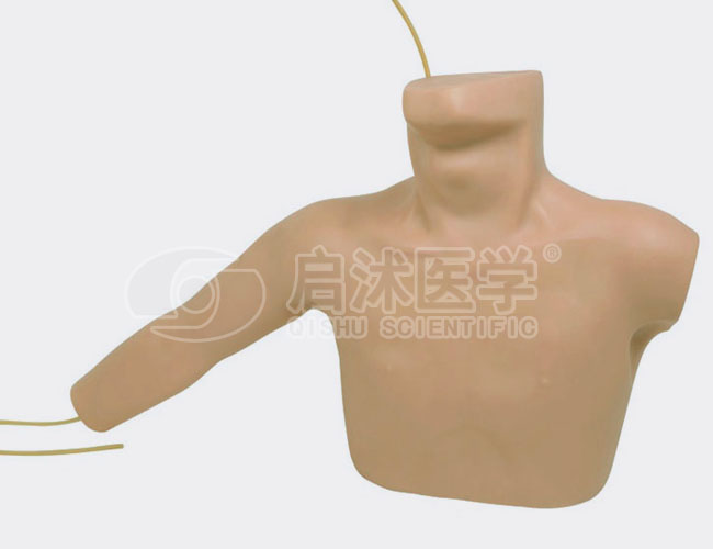 外周穿刺、中心静脉穿刺插管模型