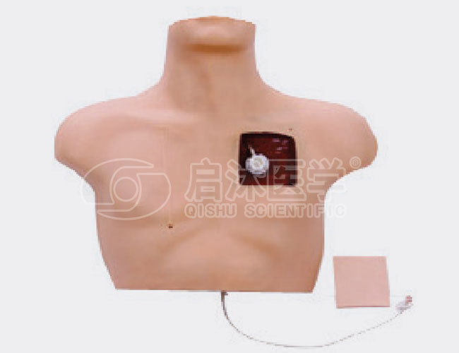 静脉介入操作模型