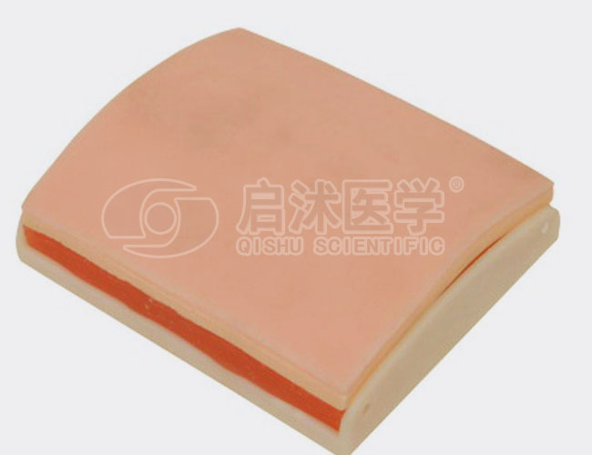高级皮肤肌肉缝合练习模块