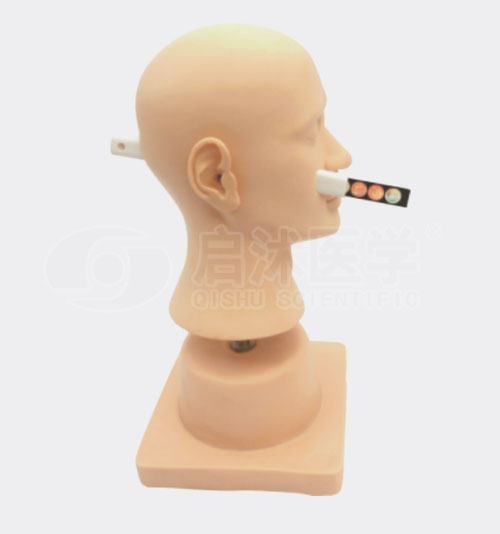 高级耳诊断模型
