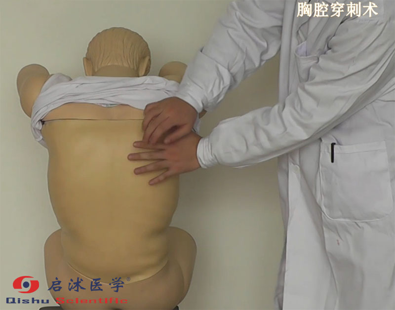 胸腔穿刺模型