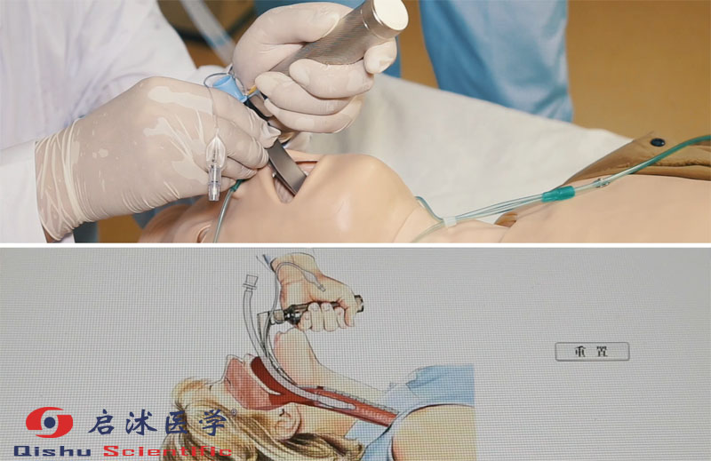 心肺复苏模拟人