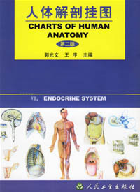 微生物学教学挂图（58张）