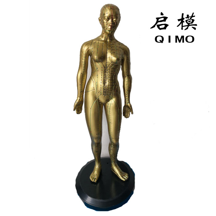 针灸铜人模型（女性48cm）