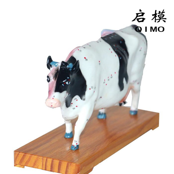 牛体针灸模型