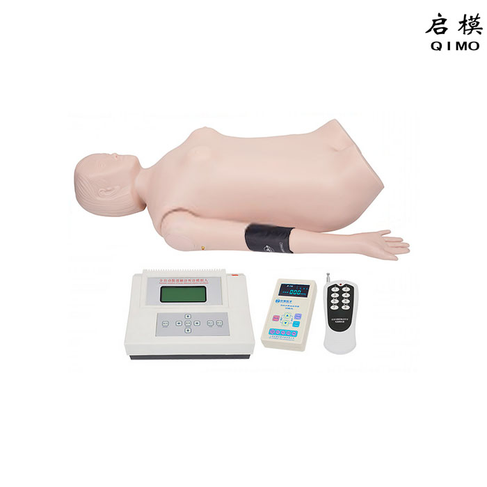 数字遥控式电脑腹部触诊、血压测量模拟人