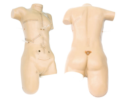 http://www.cprcn.com/product/lv18.html