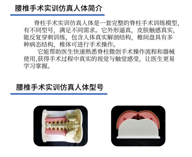 腰椎手术实训仿真模拟器介绍
