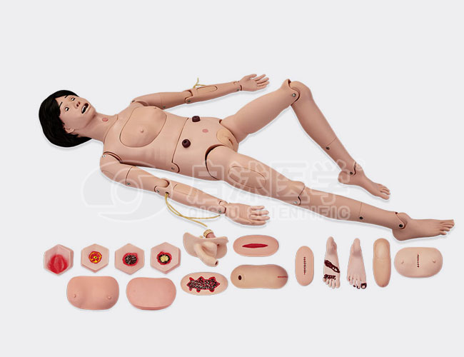 高级全功能护理训练模拟人（女性）