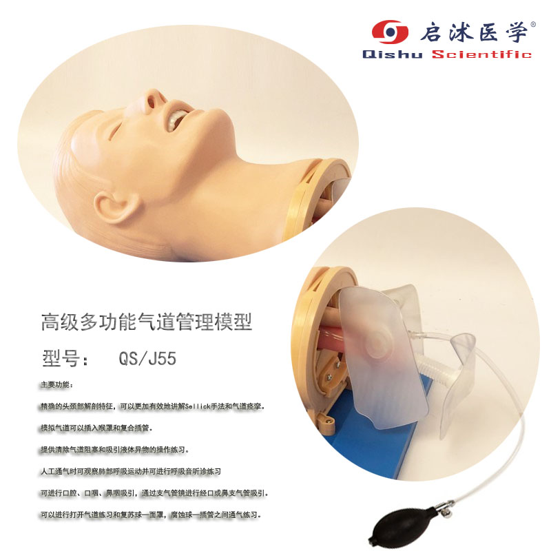 气管插管模型