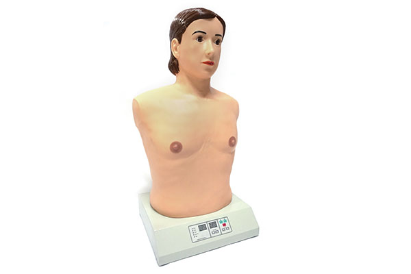 心肺触诊听诊电脑模拟人（单机版）