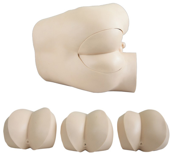 直肠癌检查训练模型