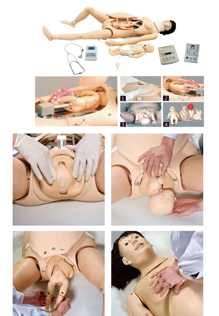 高级分娩与母子急救模型