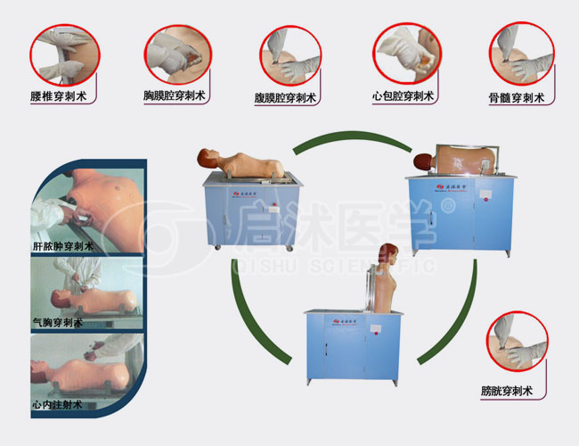 四大穿刺模拟人
