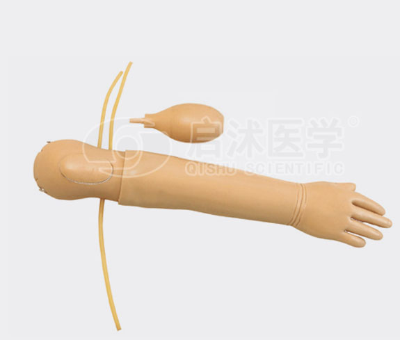 HS36 高级儿童动脉注射模型