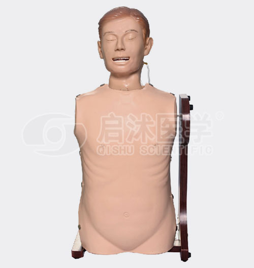 H81 高级鼻胃管与气管护理模型