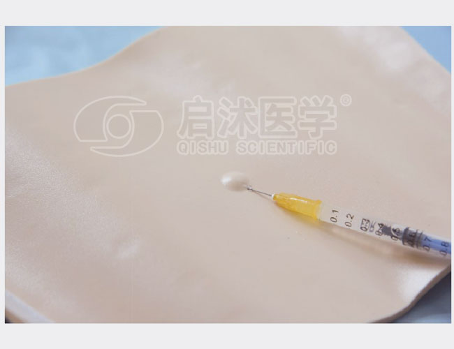 HSP 皮内注射外套