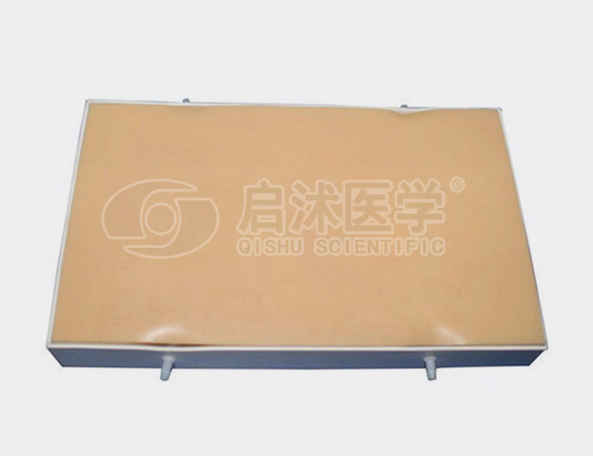 LV60 血管分离结扎模型