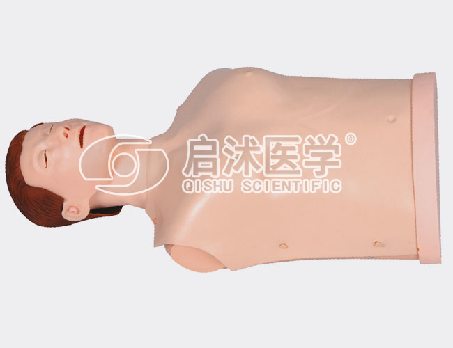 CPR187 半身心肺复苏训练模拟人（简易型）