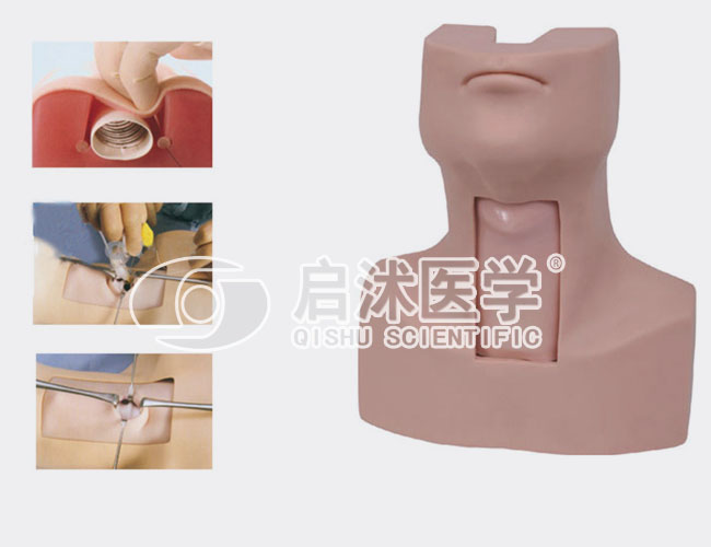 J58 高级环甲膜穿刺及气管切开插管训练模型