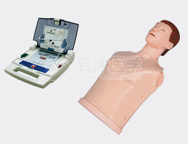 AED99D+ 自动体外模拟除颤与CPR模拟人训练组合
