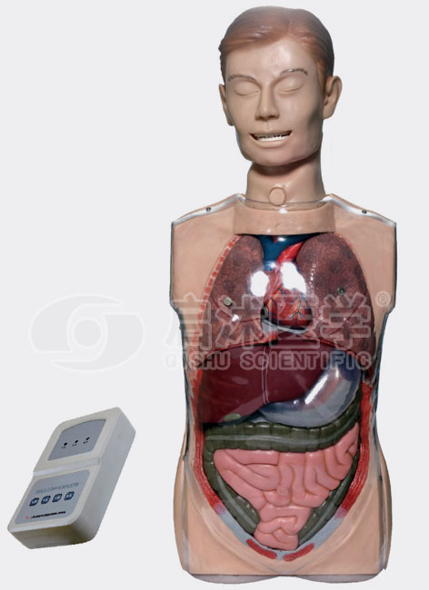 H80 多功能透明洗胃训练模型