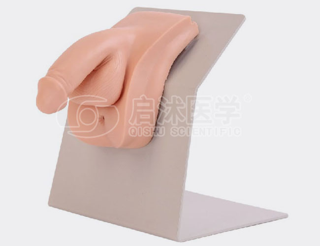 H28E 高级着装式男性导尿模型